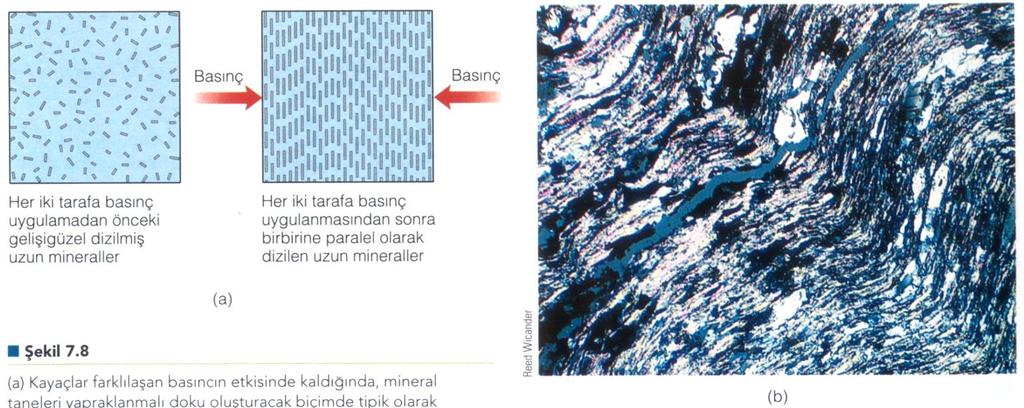 Yapraklanmalı (Foliasyonlu) doku (a) Kayaçlar farklılaşan basıncın etkisinde kaldığında, mineral taneleri yapraklanmalı doku oluşturacak biçimde tipik olarak