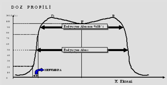 58 Şekil 5.7. Doz profilinin şematik gösterimi Alan boyutu, referans derinlikte %50 izodoz çizgileri arasındaki lateral uzaklık olarak tanımlanır (Şekil 5.7).