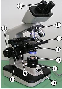 Ek-2 Köhler aydınlatması 6 Genel Bilgi August Köhler tarafından 1893 te geliştirilmiş optik mikroskopide, açıklık diyaframının ayarı ne olursa olsun, nesneyi düzgün biçimde aydınlatmaya yarayan bir