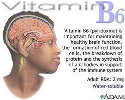 B6 VİTAMİNİ (PRİDOKSİN) Protein sentezinde, amino asitlerin