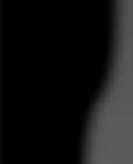 Екі ел арасындағы ортақ жұмыстың сәтті болғанын Қырғызстан мен Тәжікстан секілді к ршілеріміз к рсе, олардың да бірлесіп жұмыс істеуге ынтасы артады.