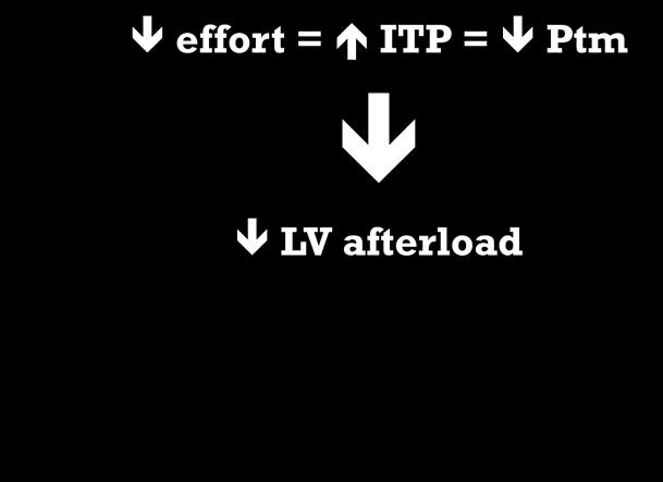 Intra Thoracic Pressure and LV function AO Ptm =