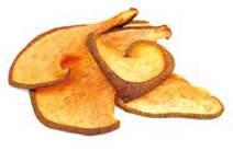 Sun Dried   Getrocknete Aprikosen aus Malatya