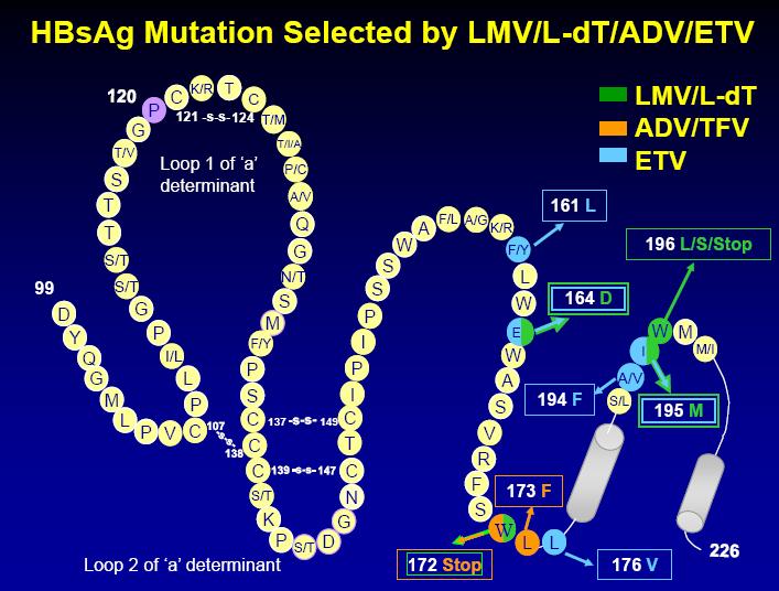 Antiviral drug-associated potential vaccine-escape mutant: ADAPVEM Oral