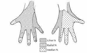 Extremite laserasyonlarında altta bulunan yapıların yaralanmaları dışlanmalıdır Tendon, sinir, damarlar değerlendirilmeli Kapiller doluma bakılmalı Simetrik olarak Distal periferal duyu muayenesi