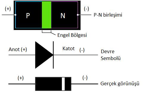 Şekil 3 (+) yükler birbirini iter (-) yükler birbirini iter P bölgesindeki (-) yükler N bölgesindeki elektronları, N maddesindeki bölgesindeki (+) yükler ise P bölgesindeki delikleri iter.