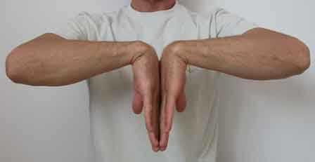 Karpal tünel Sendromu Tanı Testi Phalen testi; hasta her iki eline kuvvetli fleksiyon yapıp,