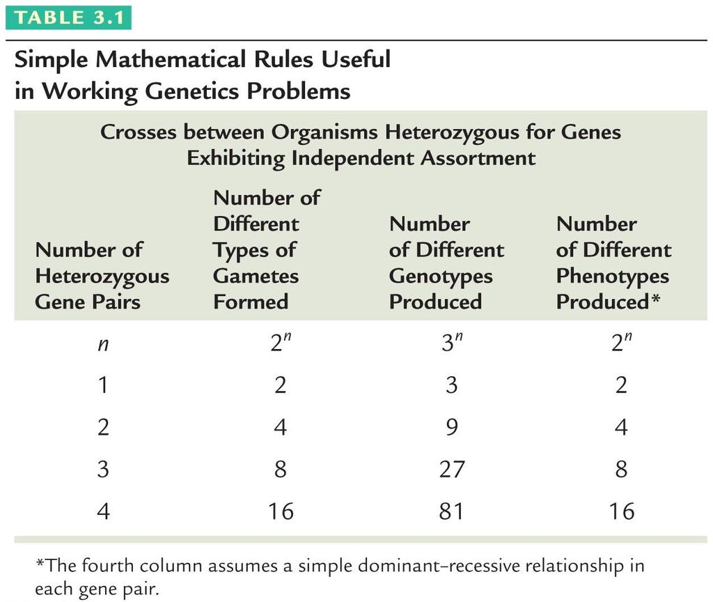 Genetik problemlerinde kullanışlı basit matematik kuralları Bağımsız Ayrılma Gösteren Heterozigot Genlere Sahip Canlılar Arasında Çaprazlamalar Heterozigot gen çifti sayısı Oluşan