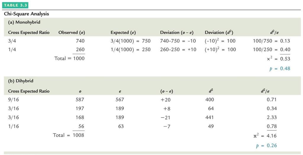 Ki-kare Analizi Monohibrit Beklenilen oran Gözlenen (g) Beklenilen (b) Sapma (g b) Sapma (s 2 ) s