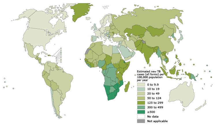 Tüberküloz İnsidansı DSÖ-2014 Tüberküloz insidansı 123/100 000 En yüksek Afrika