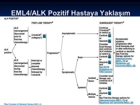 EML4/ALK POZITIF