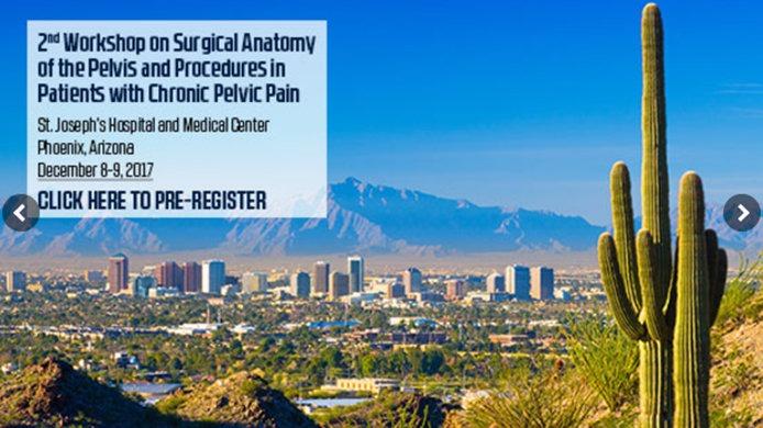 2.Pelvik Cerrahi Anatomi Ve Kronik Pelvik Ağrılı Hastada Prosedürler Kursu, 8-9 Aralık 2017, Arizona, USA.