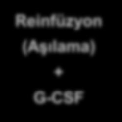 (Aşılama) + G-CSF 5 µg/kg/day