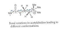 Asetilkolin: Asetilkolinin