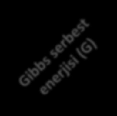 Entropideğişimleri için ΔS* = ΔS (ΔĒ + p ΔV)/T = -(- T ΔS + ΔĒ + p ΔV)/T burada G = Ē T S + p V (enerji boyutunda Gibbs serbest enerjisi (G) Gibbs serbest enerjisi) ve