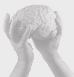 Beyin, yaklaşık 1400 gr ağırlığındadır.