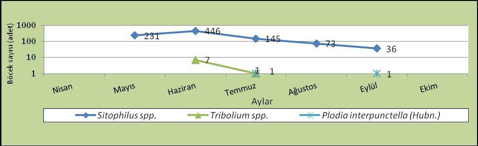 ), Sitophilus oryzae (L.), Tribolium confusum (Duv.), Tribolium castaneum (Herbst) ve Plodia interpunctella (Hbn.) türü tespit edilmiģtir.
