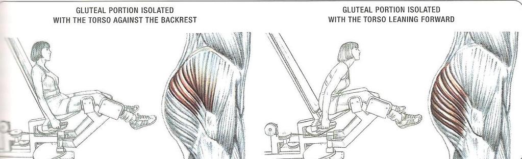 Seated machine hip abductions M.