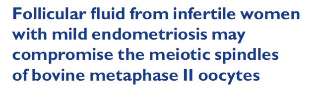 FF of infertile women with mild endometriosis can impair nuclear