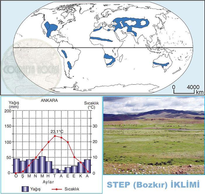 4- Step İklimi: Özellikle 30 ve 60 enlemleri arasında bulunan karaların iç kısımlarında yer alır. Step iklimi, geçiş iklimi özelliği gösterir.