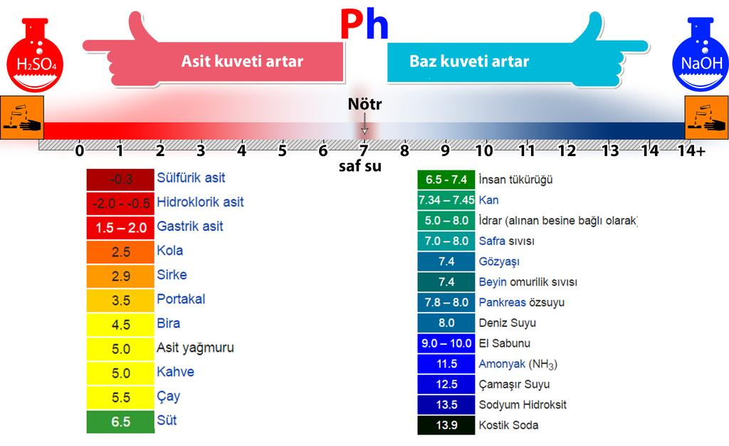 4.Bölüm - Asitler ve Bazlar 8..4.1.Asit ve bazların genel özelliklerini kavrayarak günlük yaşamdan örnekler verir. 8..4.2.