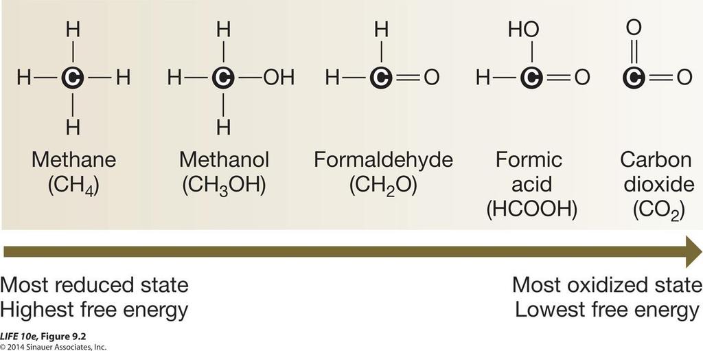 Figure 9.