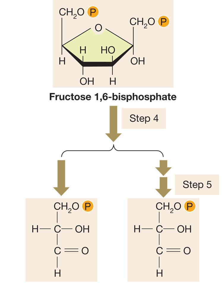 Figure 9.