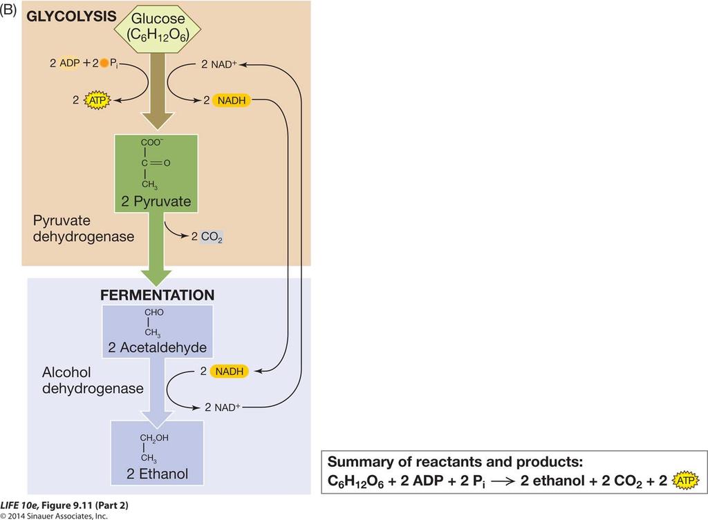 Figure 9.