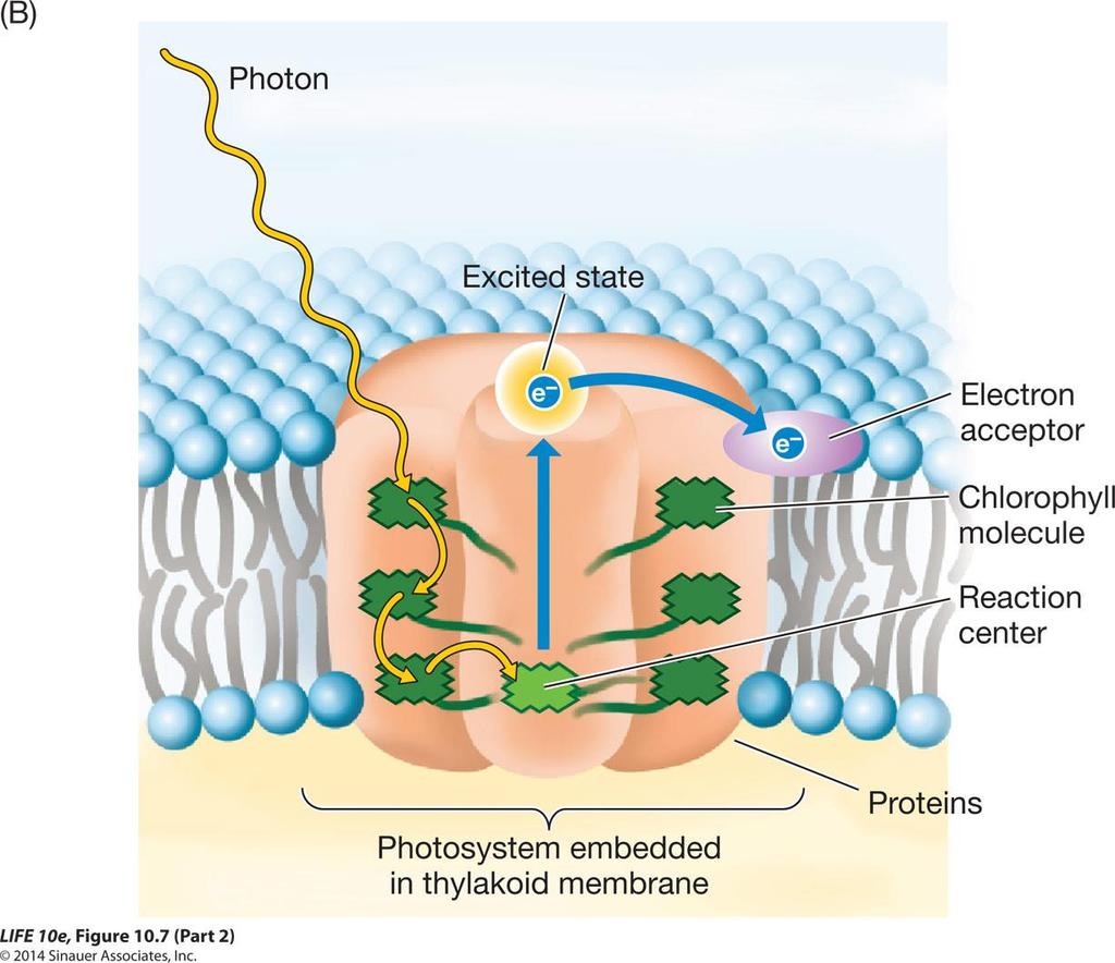 Figure 10.