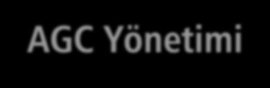 AGC Yönetimi İlk Tanı AGC-NOS İlk Tanı AGC (favor neoplasia) veya AIS CIN2+, AIS veya Kanser YOK CIN2+ fakat Glanduler Neoplazi YOK İnvaziv Hastalık YOK Cotesting (1. ve 2.