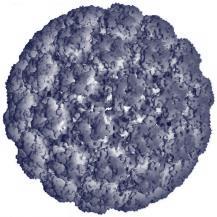Gardasil 9 İçeriği Antijenler Adjuvan 500 µg HPV 6 VLPs 30 µg HPV 11 VLPs 40 µg HPV 16 VLPs 60 µg HPV 18 VLPs 40 µg + Aluminium tuzu (amorphous aluminium hydroxyphosphate