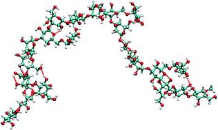 21 EPS biyosentezi, nükleotid şekerlerin üretimi ve birincil karbonhidrat metabolizma enerjisi ile bağlantılıdır [48-49]. Çeşitli çalışmalarda EPS üretiminin gelişim ile ilişkili olduğu bulunmuştur.