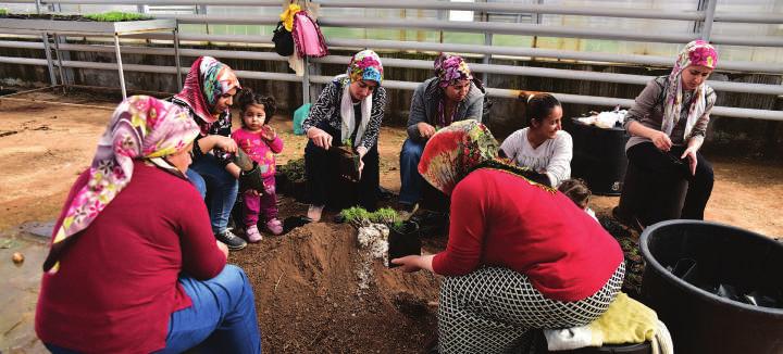 Mevcut Durum Gıda Güvenliği Türkiye deki Suriyeli hane halkları arasındaki gıda güvenliği takip edilmesi gereken konular arasında yer almaktadır.