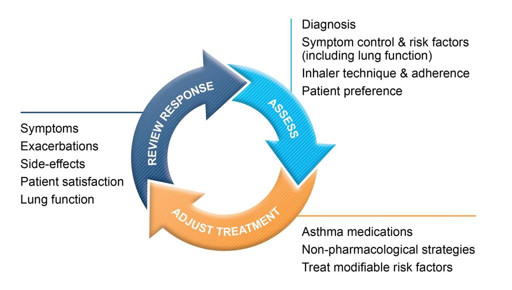 The control-based asthma management cycle NEW!