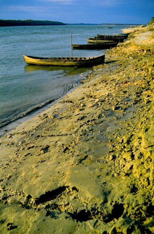 Plaja de pe malul Dunării; condiţiile de climă, prin temperaturi medii de circa 11 0 C, precipitaţii reduse (sub 500 mm/an), numărul anual de zile însorite, nebulozitatea redusă,