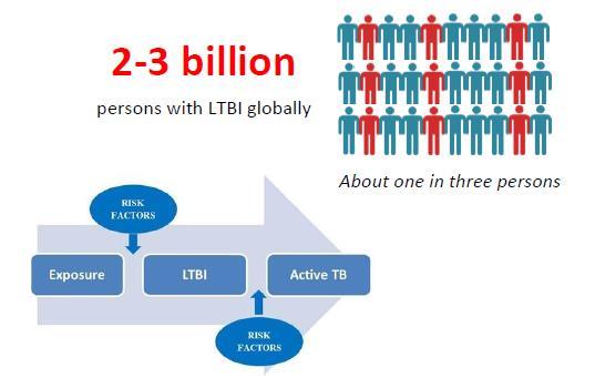 Dünya populasyonunun yaklaşık 1/3 ü latent TB vardır.