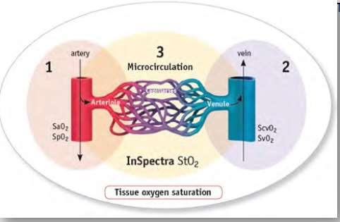 Organ ve Doku Oksijenizasyonu Organ ve Doku Oksijenizasyonu (StO 2 )