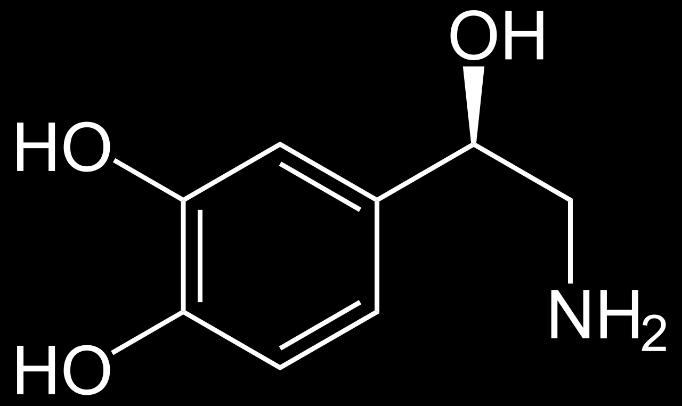 Tirozin Tirozin hidroksilaz L-Dopa