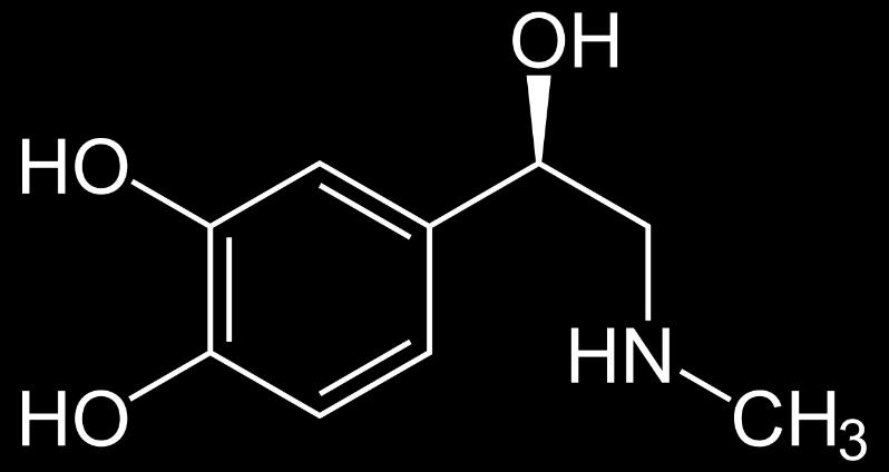 (Piridoksal fosfat) Epinefrin Fenil