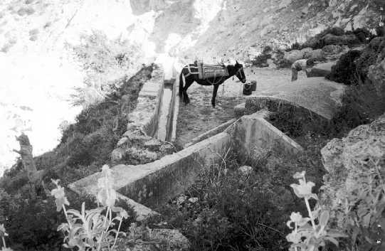 Shpellë në Katohori, e rrënuar nga shpërthimet e gurores në Shifko. Më parë strehoheshin 30-40 kokë bagëti.