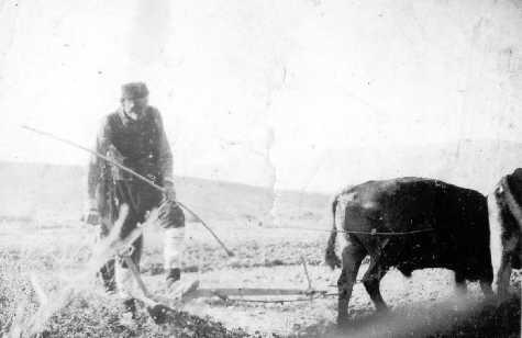 Virua, vjeshtë 1942 Musa Muhameti duke lëruar ugarin me parmëndë druri.