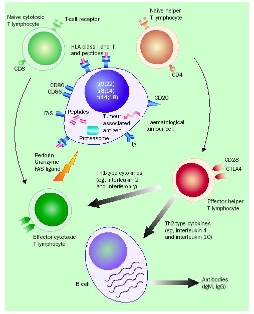 The LANCET Oncology