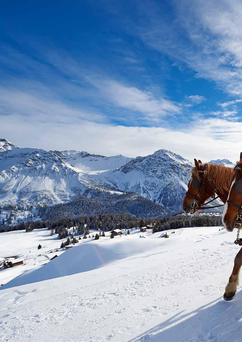 Gezi Rehberi İsviçre nin yüksek bölgelerine düşen kardan sonra ülkede kış turizmi başladı.