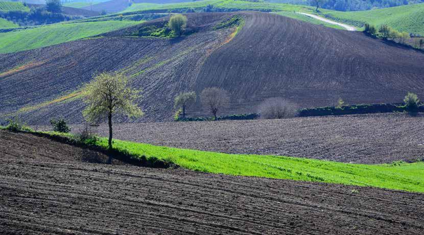 IL SISTEMA DELLE INDICAZIONI GEOGRAFICHE IN TURCHIA Fin dalla preistoria, la Turchia ha ospitato molte culture e civiltà come quelle sumera, ittita, frigia, lidia, greca, romana e bizantina.