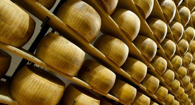 PARMIGIANO REGGIANO DOP Il Parmigiano Reggiano DOP è un formaggio a pasta dura, cotta e non pressata, prodotto con latte vaccino crudo ottenuto da animali allevati nella zona di produzione,