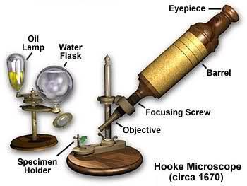 1665 yılında ilk olarak İngiliz bilim adamı Robert Hooke şişe mantarından