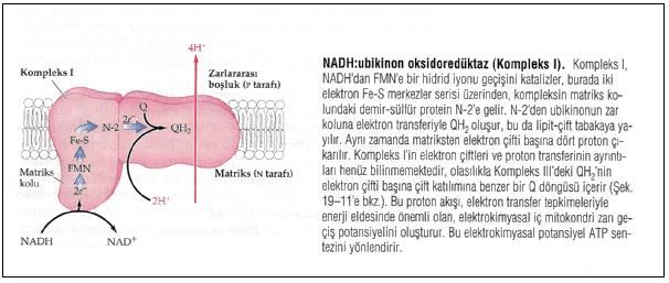 Kaynak: