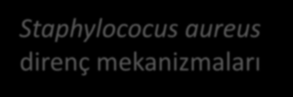 Staphylococus aureus direnç mekanizmaları Rifampisin direnci rpob de mütasyon sonucu RNA polimeraz değişikliği olur.