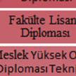 entelektüel becerilerin karmaşıklığı; kişinin aldığı sorumluluğun miktarı; problem çözme ve/veya yaratıcılığın derecesi; ekip çalışması