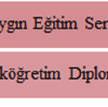 ''Sertifika almak için VocTest merkezleri tarafından açılan yetkinlik sınavlarına katılmak ve başarı sağlamakk gereklidir.